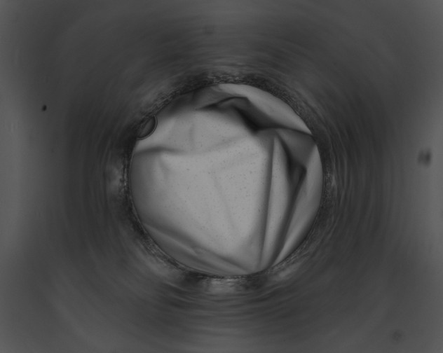 X0000091170134200708301203