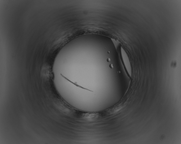 X0000091170135200708301203