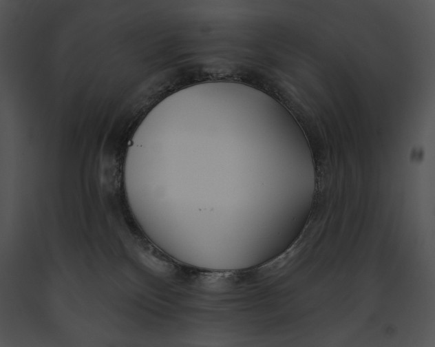 X0000091170136200708301203