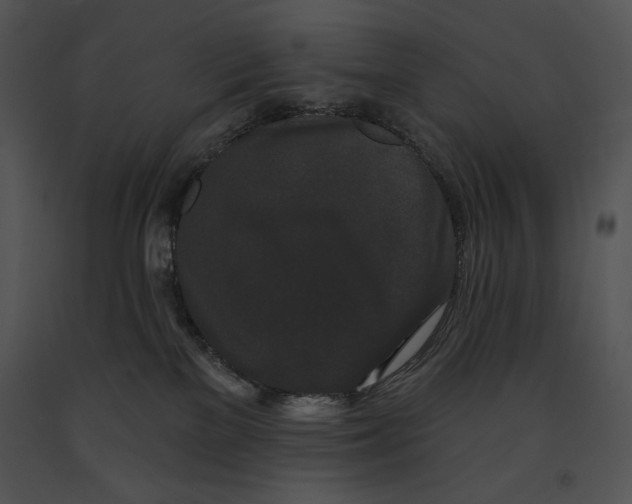 X0000091170137200708301203