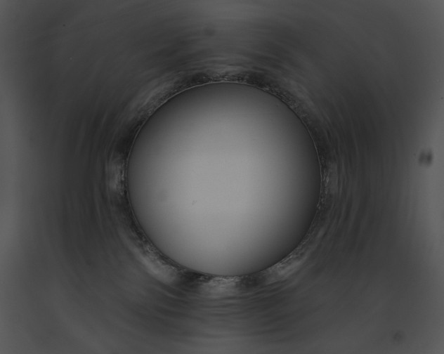 X0000091170138200708301203