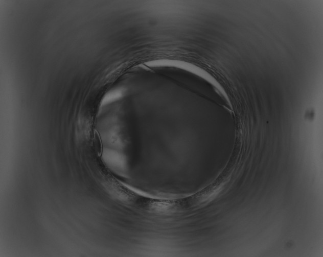 X0000091170139200708301203