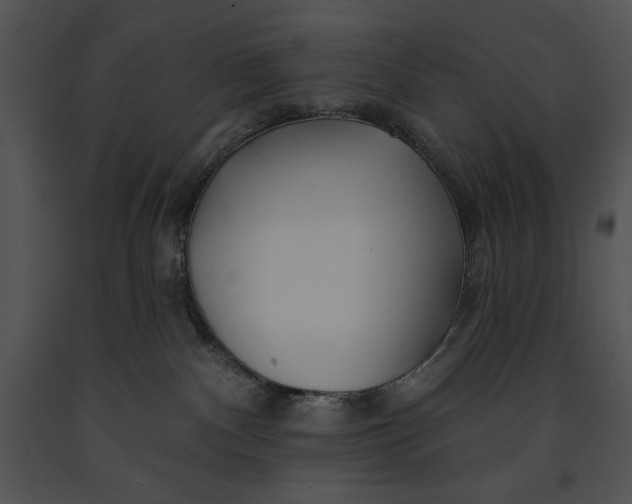 X0000091170140200708301203