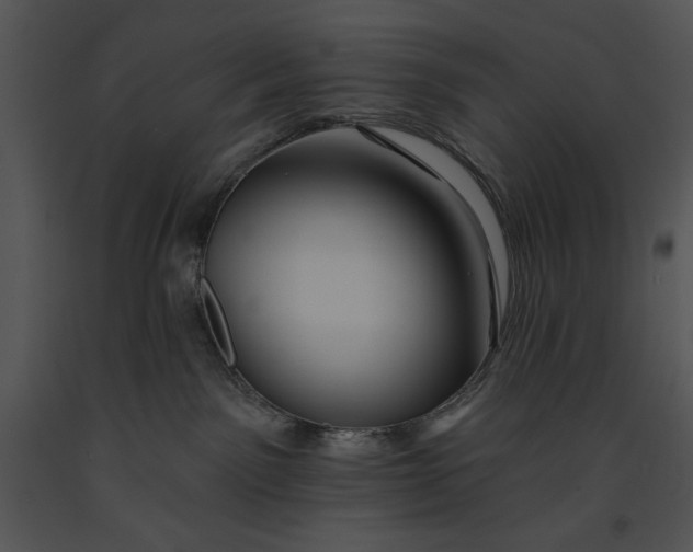 X0000091170141200708301203