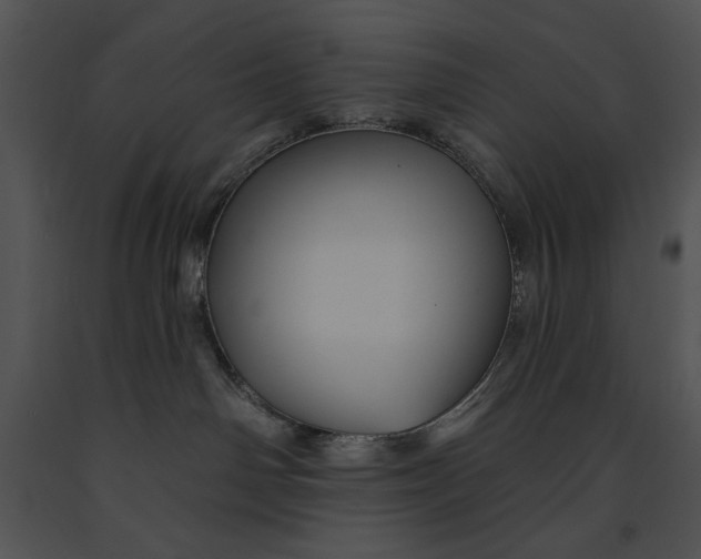 X0000091170142200708301203