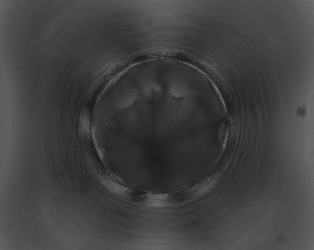 X0000091170143200708301203