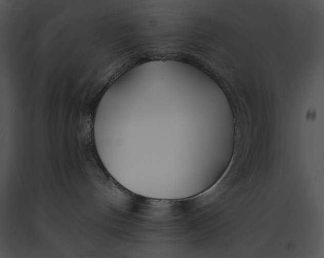 X0000091170144200708301203