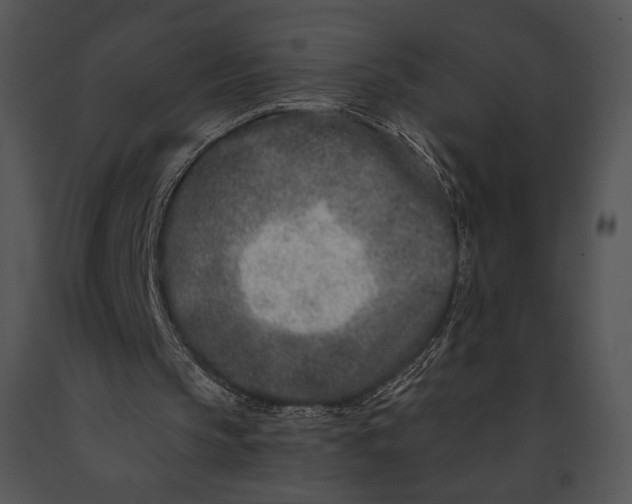 X0000091170145200708301202