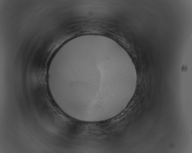 X0000091170146200708301202