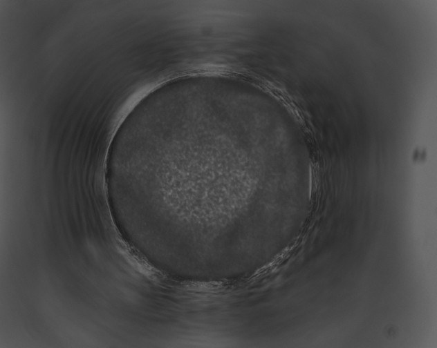 X0000091170147200708301202