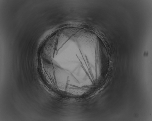 X0000091170149200708301202