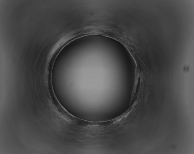 X0000091170150200708301202