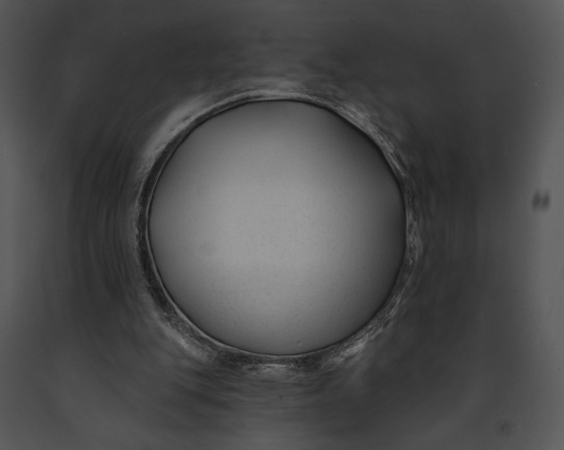 X0000091170151200708301202