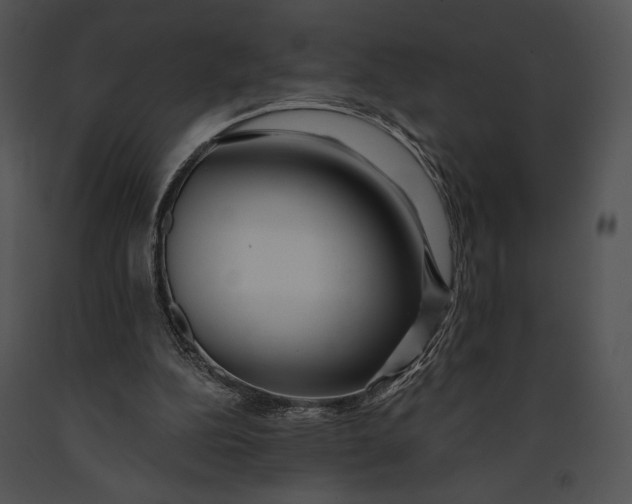 X0000091170152200708301202