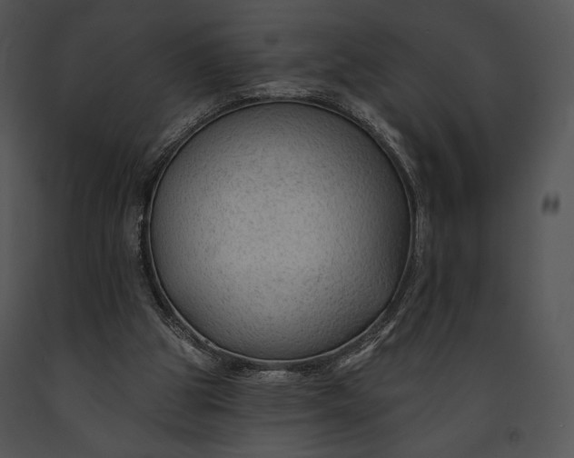 X0000091170153200708301202