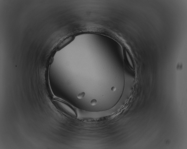 X0000091170154200708301202