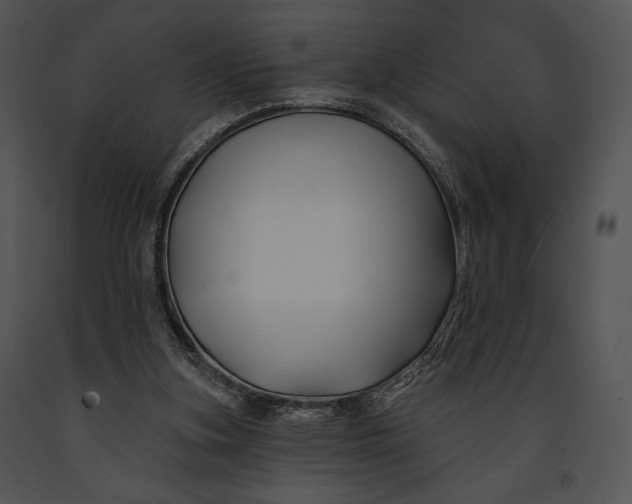 X0000091170155200708301202