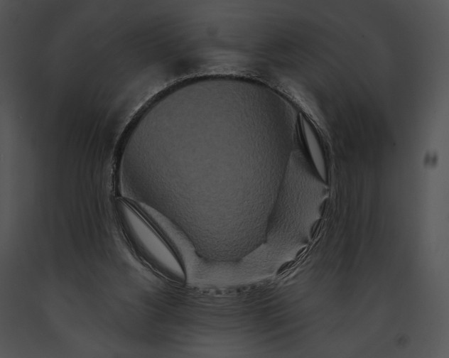 X0000091170156200708301202