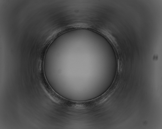 X0000091170157200708301202