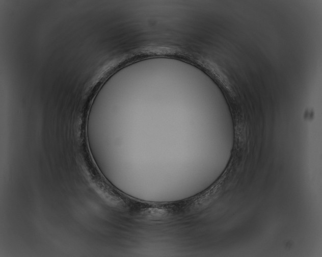 X0000091170159200708301202