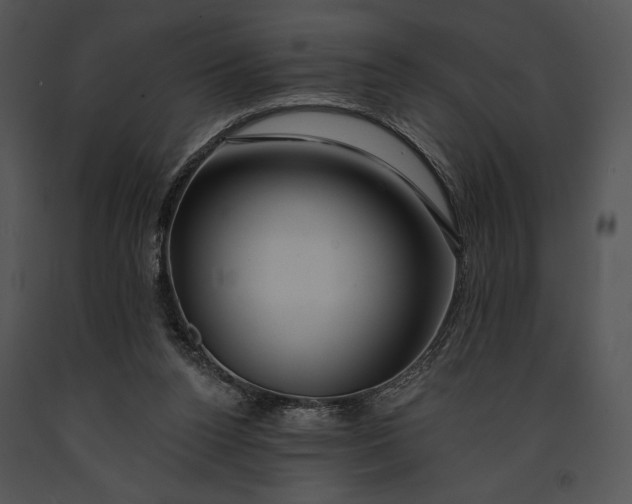 X0000091170160200708301202