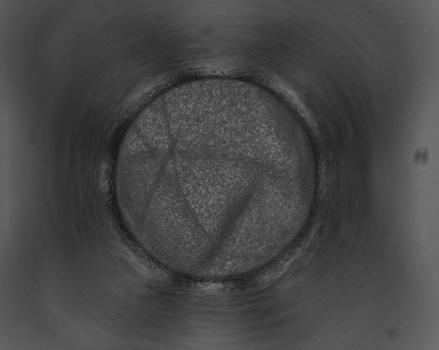 X0000091170161200708301202