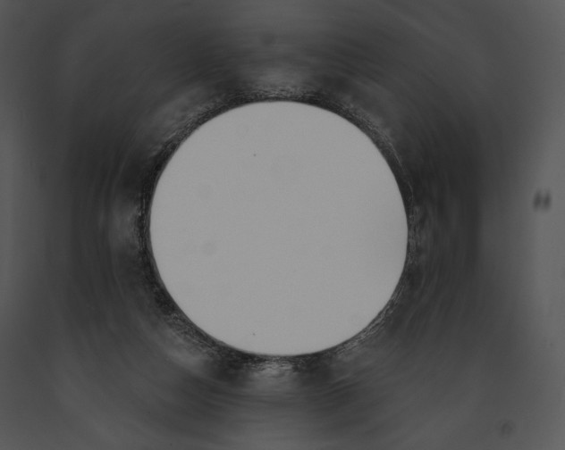 X0000091170162200708301202