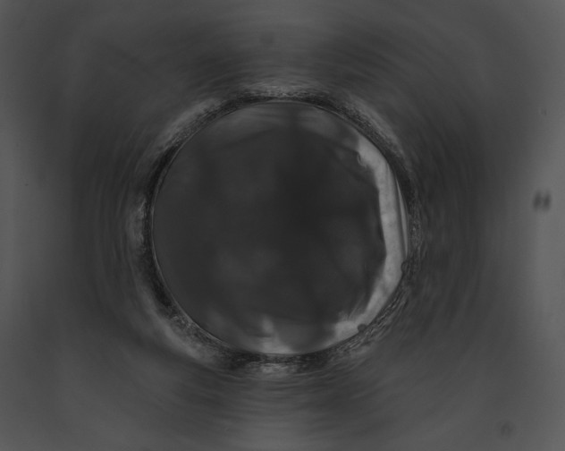 X0000091170163200708301202