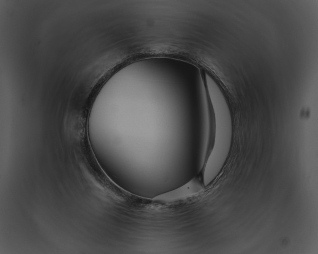 X0000091170164200708301202