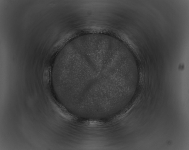 X0000091170165200708301202