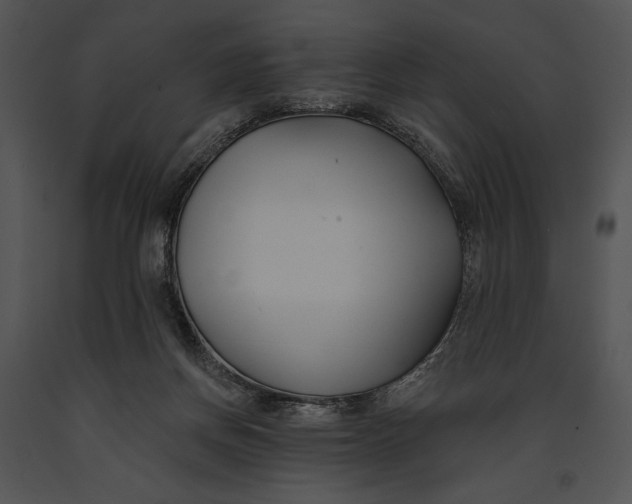 X0000091170166200708301202