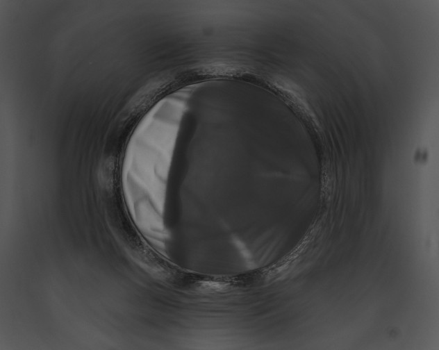 X0000091170167200708301202