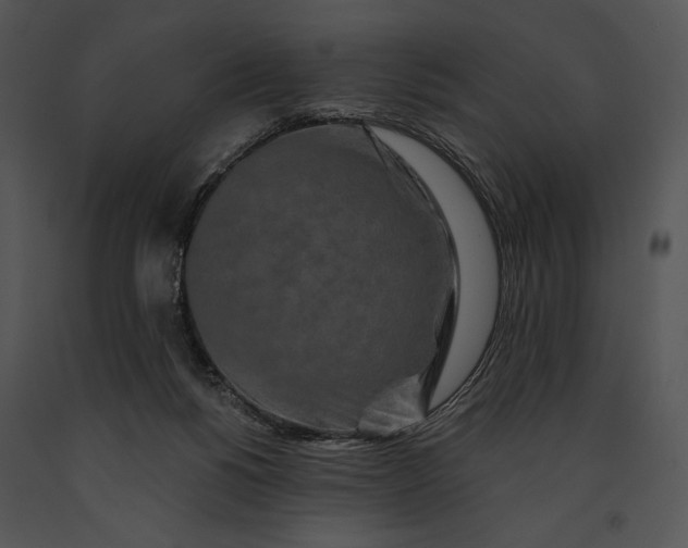 X0000091170168200708301202