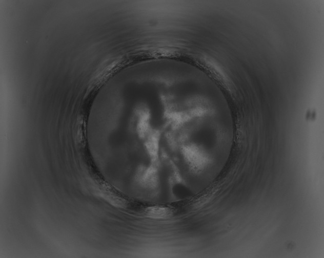 X0000091170169200708301202