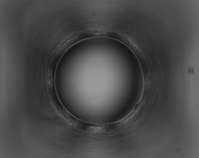 X0000091170170200708301202