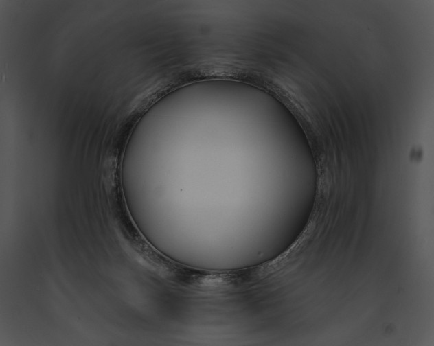 X0000091170171200708301202