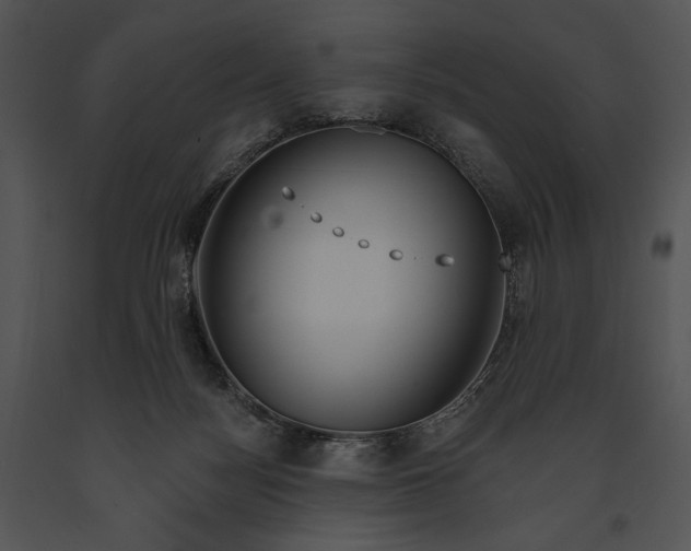 X0000091170172200708301202