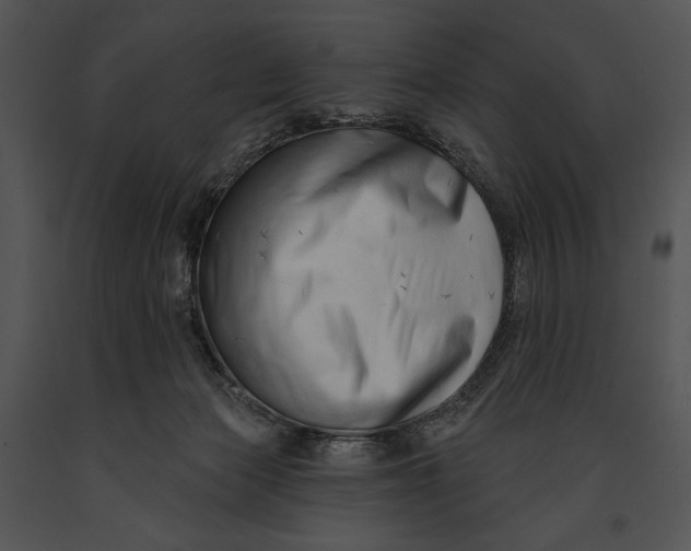 X0000091170173200708301202