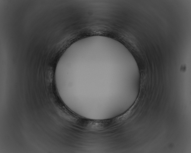 X0000091170174200708301202