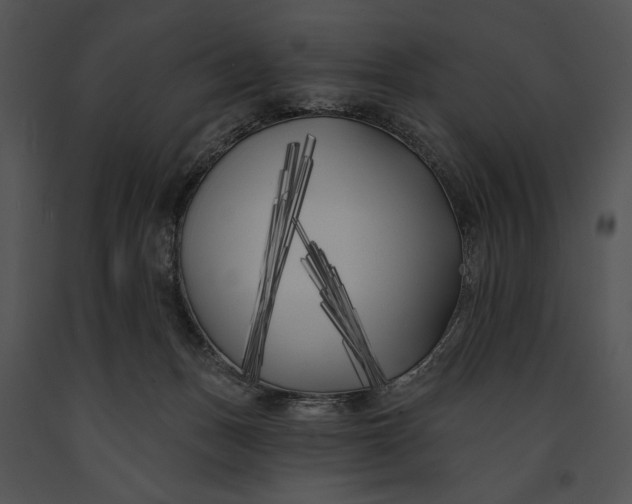 X0000091170175200708301202