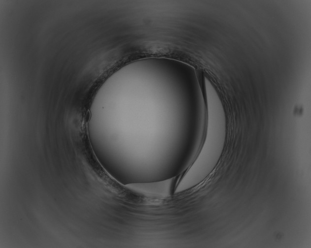 X0000091170176200708301202