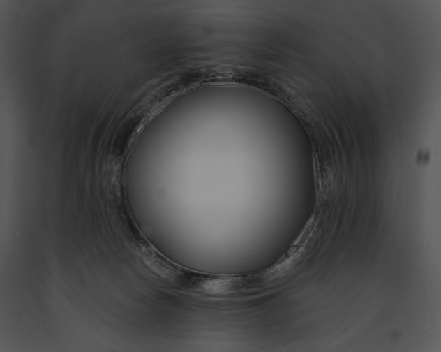 X0000091170178200708301202