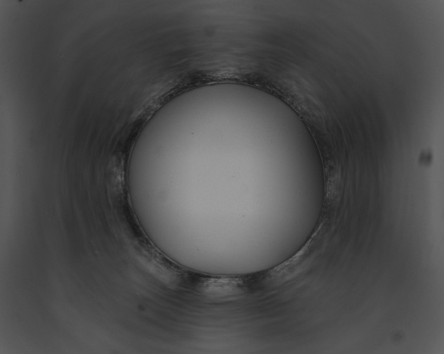 X0000091170179200708301203