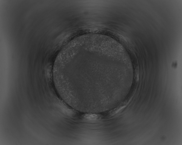 X0000091170181200708301203