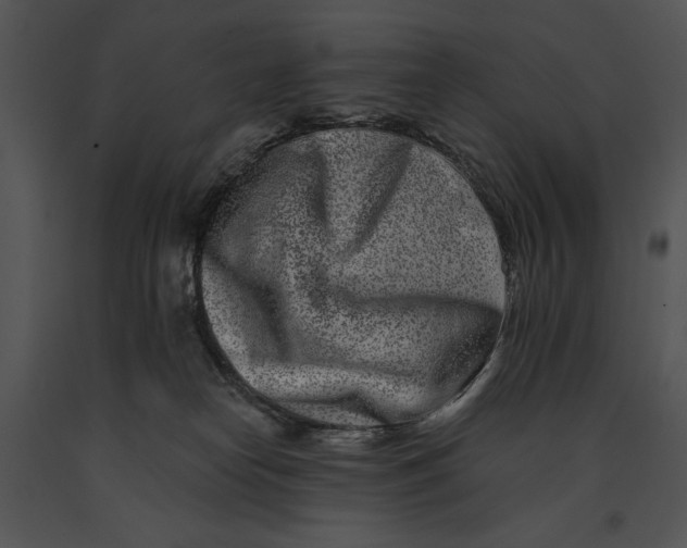 X0000091170182200708301203