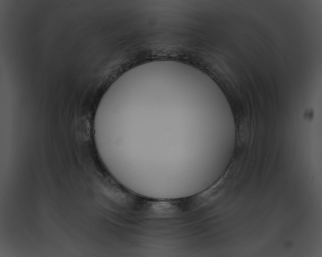 X0000091170183200708301203