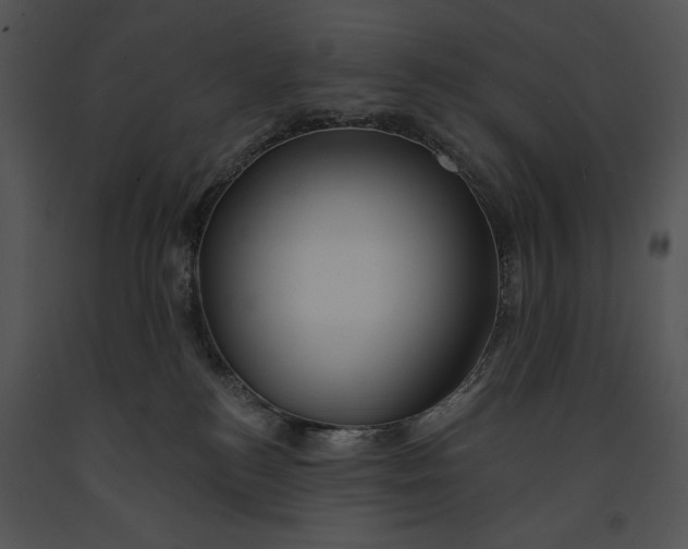 X0000091170184200708301203