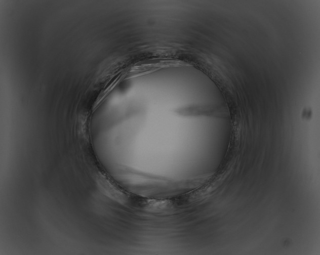 X0000091170185200708301203