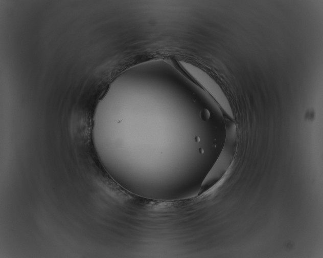 X0000091170186200708301203