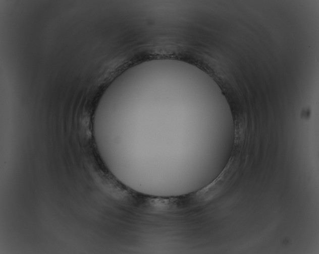 X0000091170187200708301203